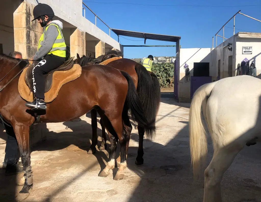 Horse riding stables