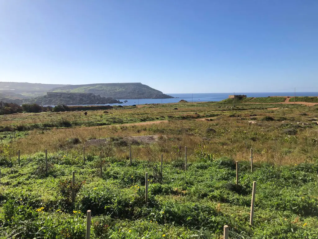 View of Golden Bay while horse riding