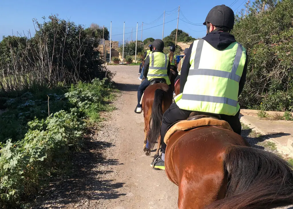 Horse riding in Malta