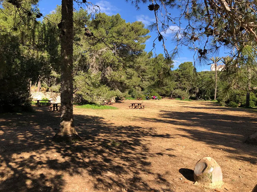 Buskett picnic area