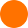 circle fruit orange