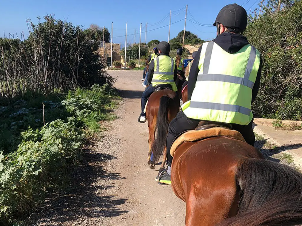 Horse riding in malta