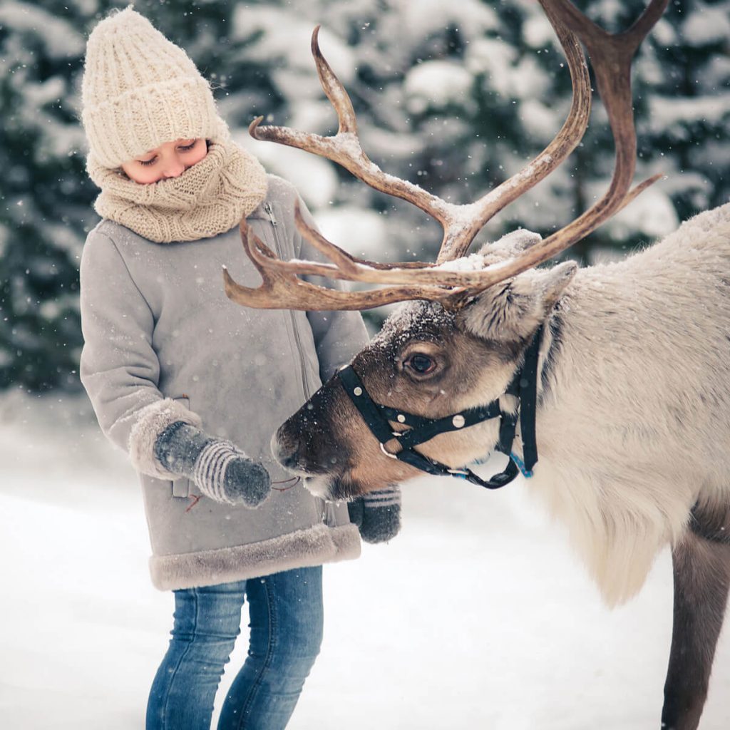 Celebrate Christmas in Europe