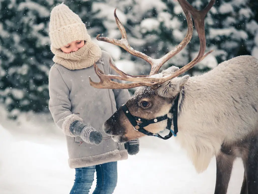 Celebrate Christmas in Europe