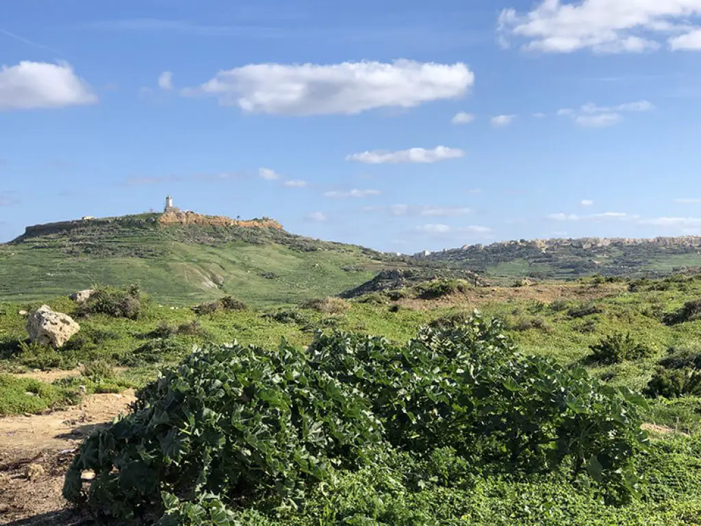 Views in Gozo