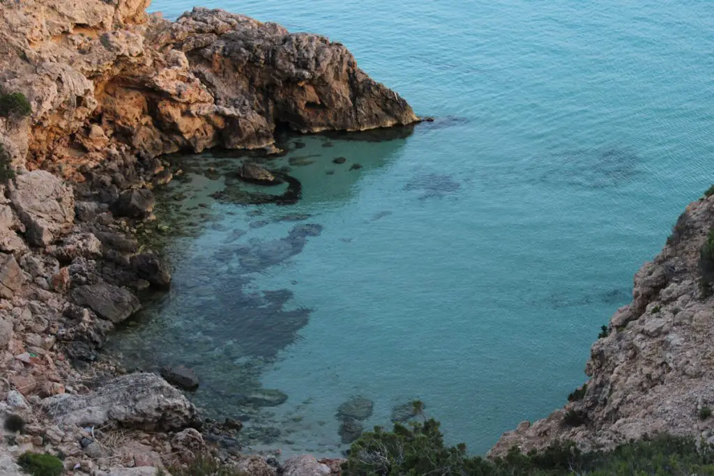 Cala Tarida in Ibiza