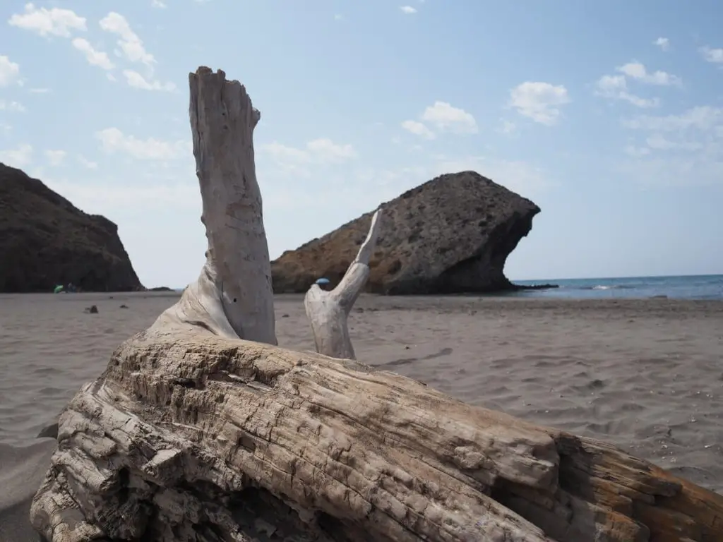 Playa de Mónsul