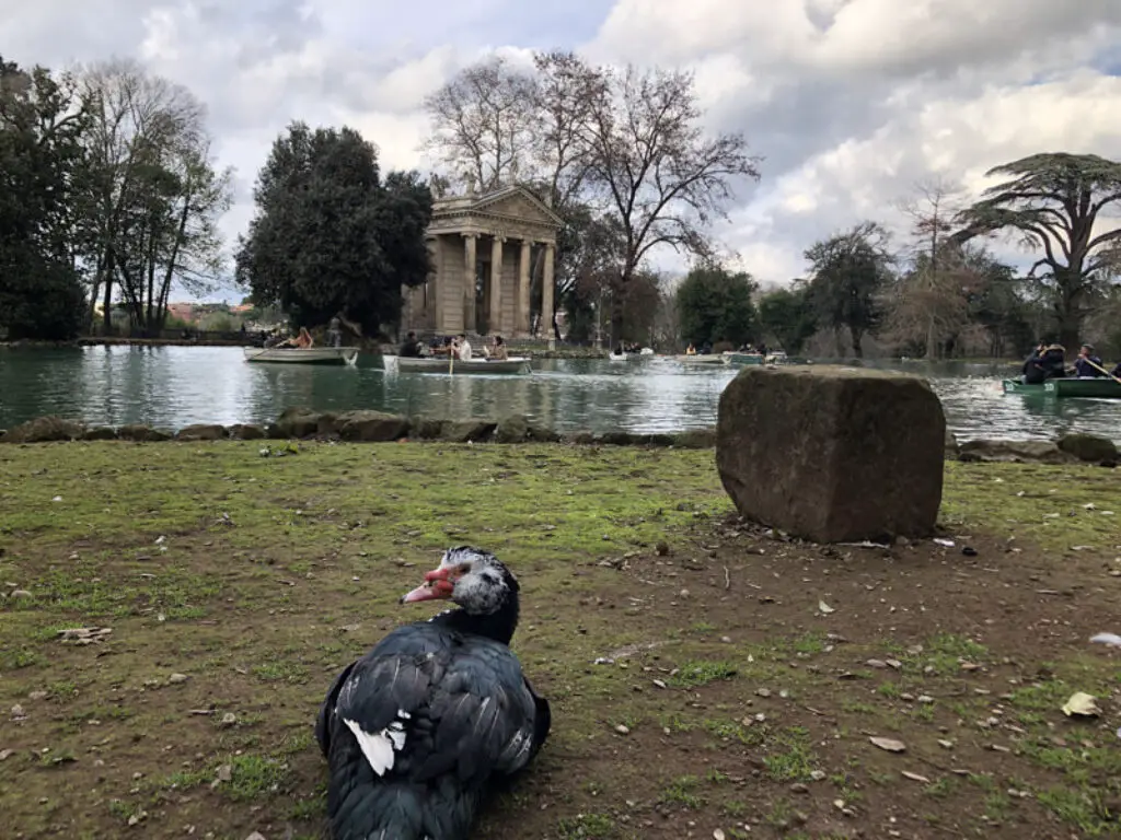 Borghese Garden Lake