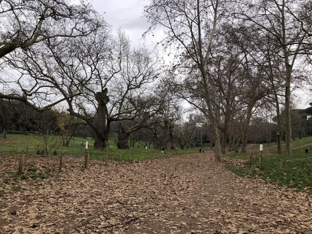 Open space at the Borghese Gardens