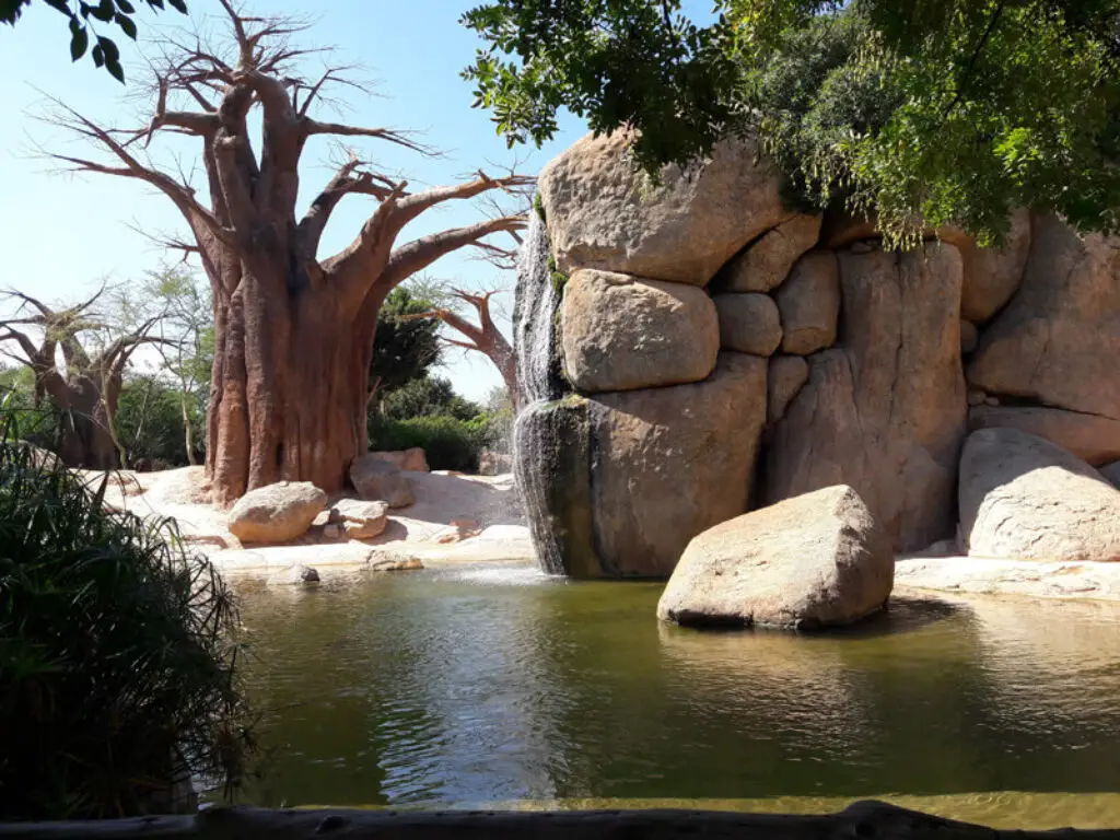 Bioparc Valencia