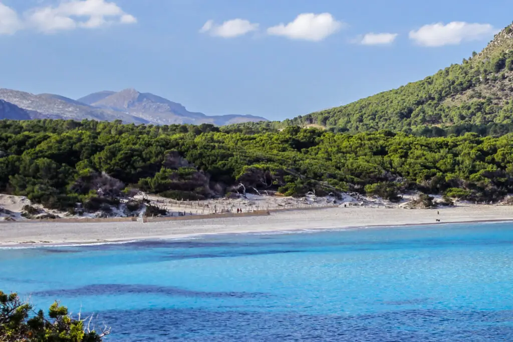 Cala Agulla