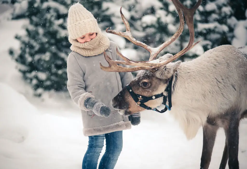 Kid with reindeer