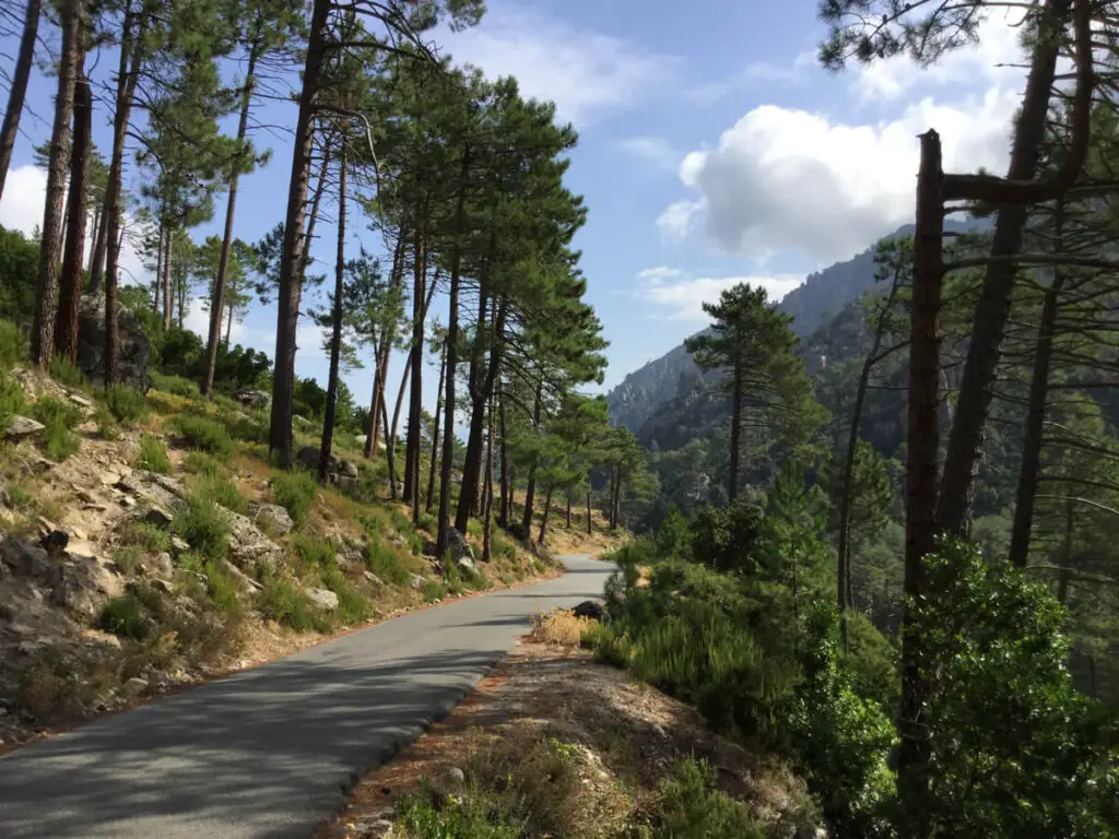 Corsican landscape in Monte Alto