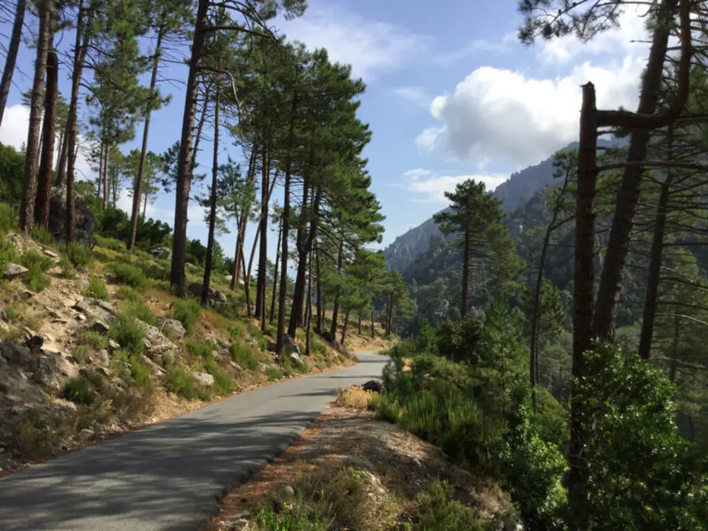 Corsican landscape