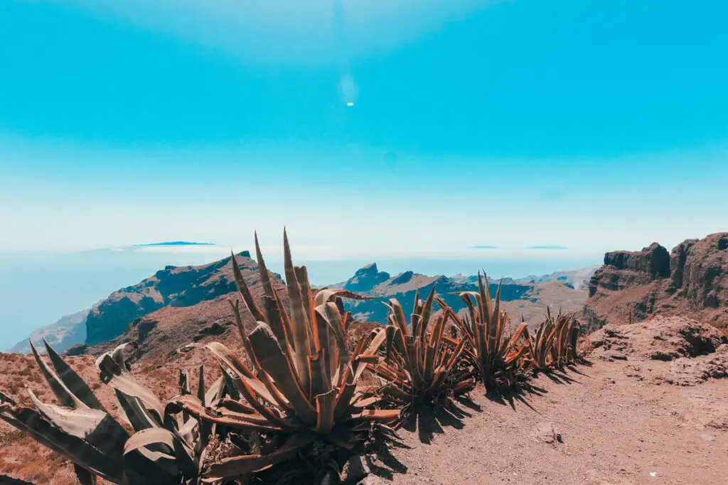 Tenerife