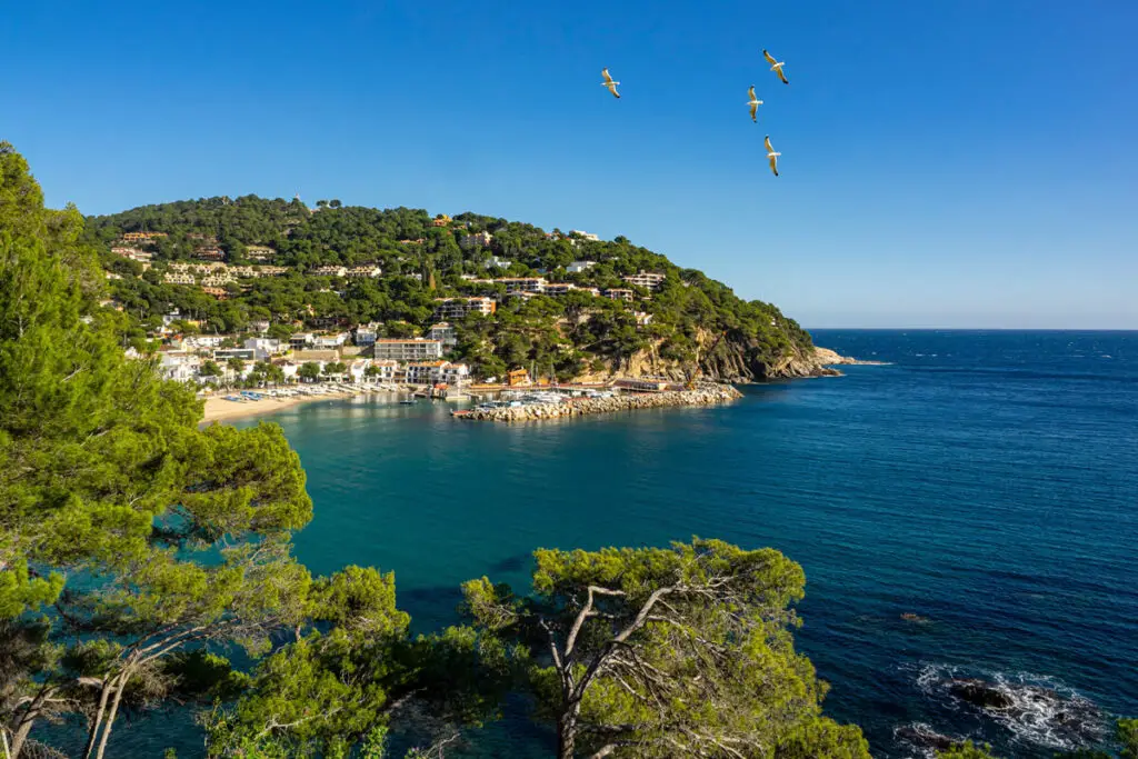 Platja de Llafranc in Costa Brava in Spain