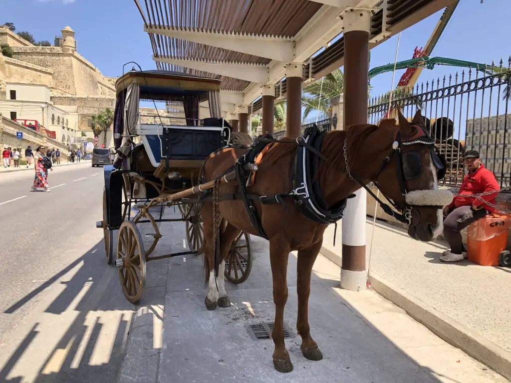 Traditional Maltese horse drawn karozzin