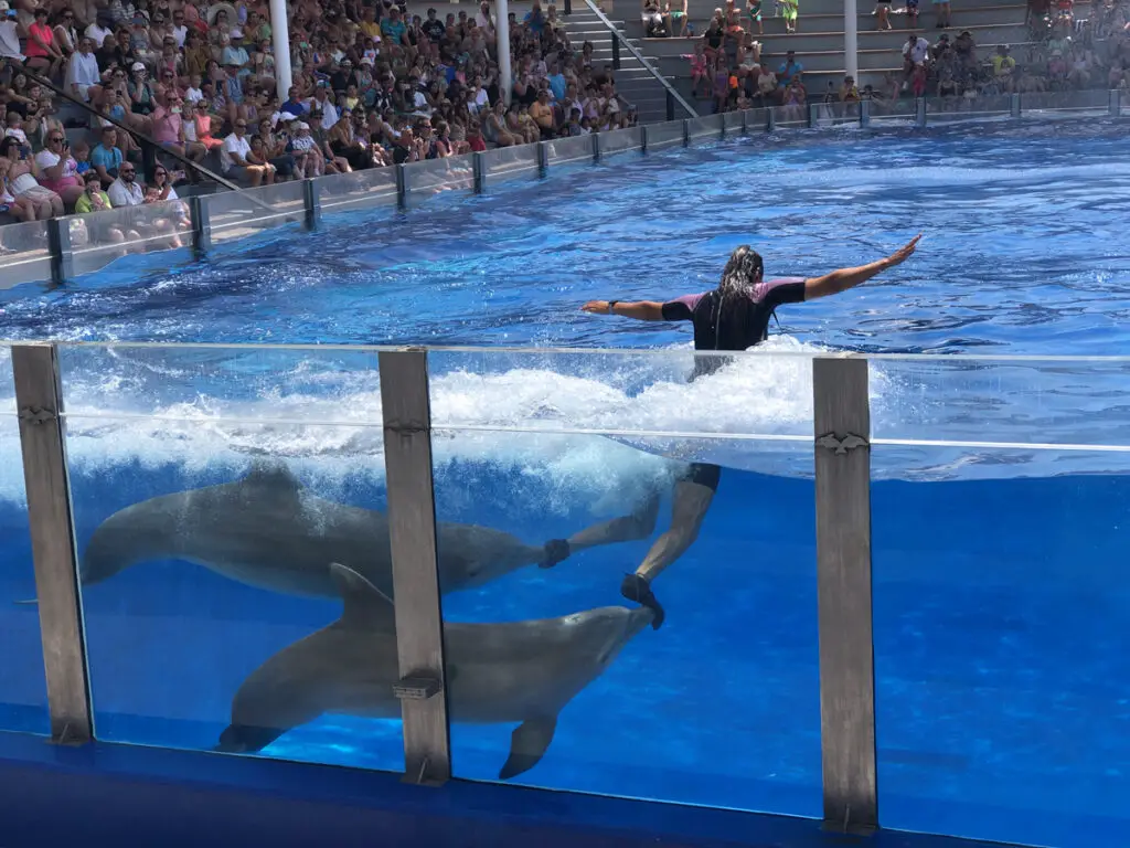 Marineland in Mallorca