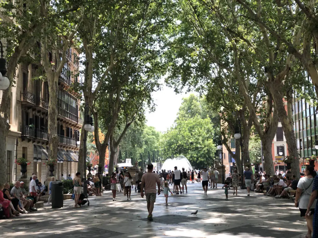 Paseo del Borne in Palma