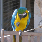 Bird Park Malta