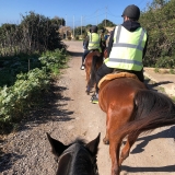 Horse Riding