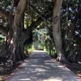 San Anton Gardens